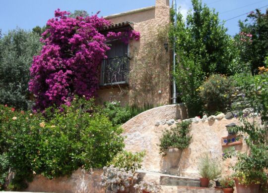 La Rueda